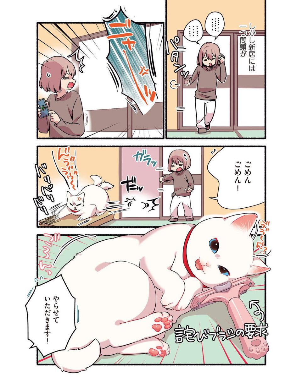 構われたすぎてできないフリをする猫の話
(2/2)
 #漫画が読めるハッシュタグ
 #愛されたがりの白猫ミコさん 