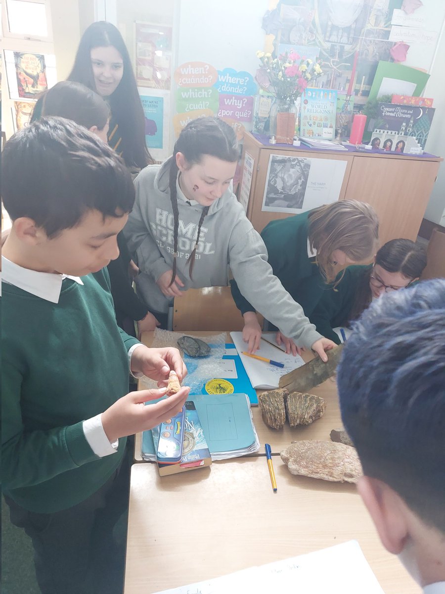 Seahorses Class tweet media