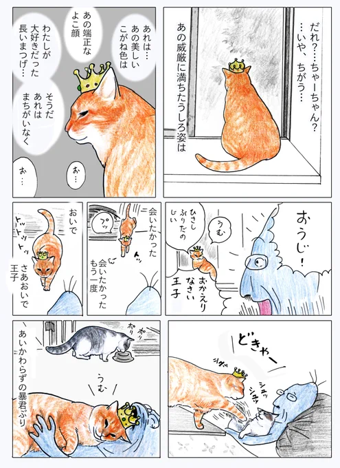 おうじちゃんは松ぼっくりをなんども持ってきてくれたそうなんだよ。
あと葉っぱとか、葉っぱにくるんだヤモたんとかも持ってきてくれたんだって。
(俺はヤモたんはじかに持ってくるよ) 