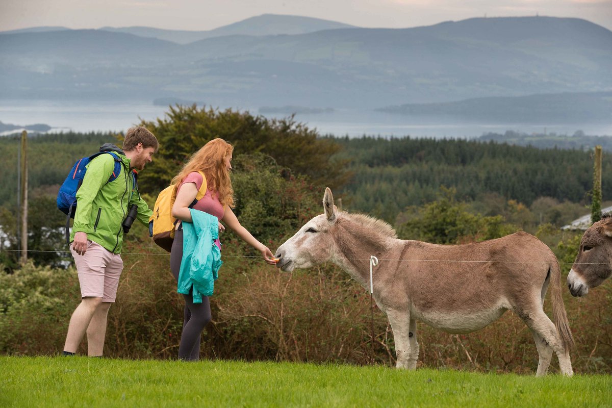 #InspiringEasterFun - Clare boasts top attractions, castles, folk parks, visitor caves, museums, gardens, heritage centre, pet farms, lake cruises, dolphin watching, chocolate making & much more 🐣 visitclare.ie/great-ideas/10…