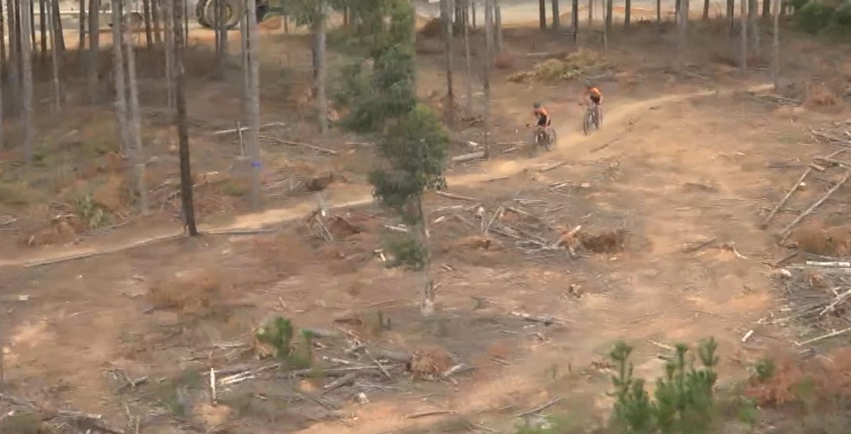 capeepic tweet media