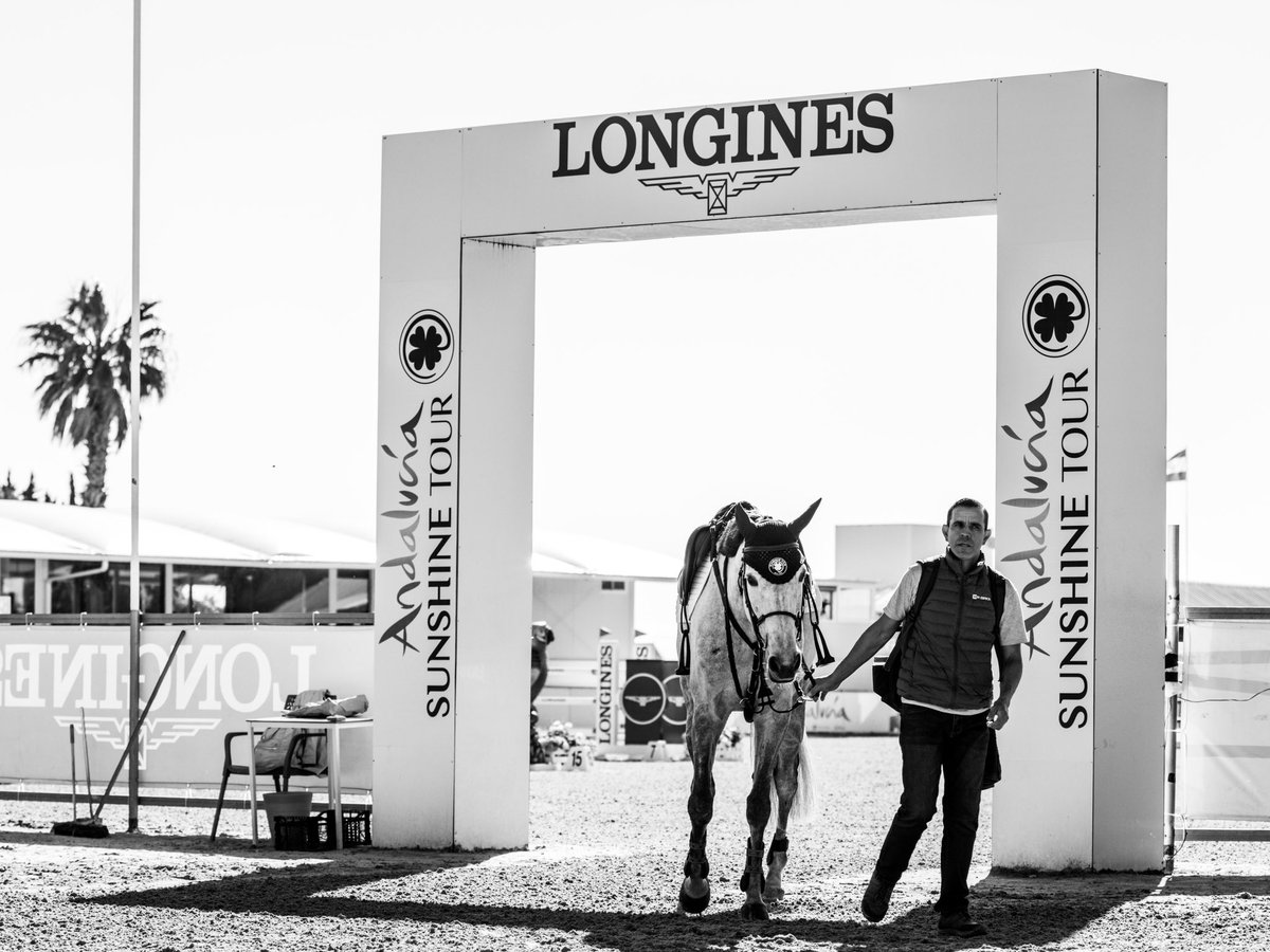 Sunshinecadiz's tweet image. Basking in the glow of equestrian excellence with our official timekeeper and watch partner of the Andalucía Sunshine Tour. Every second counts in the pursuit of perfection. 🐎⌚☀️ #AndaluciaSunshineTour #EquestrianExcellence 

#Timekeepers #OfficialWatch #Longines @LonginesEq