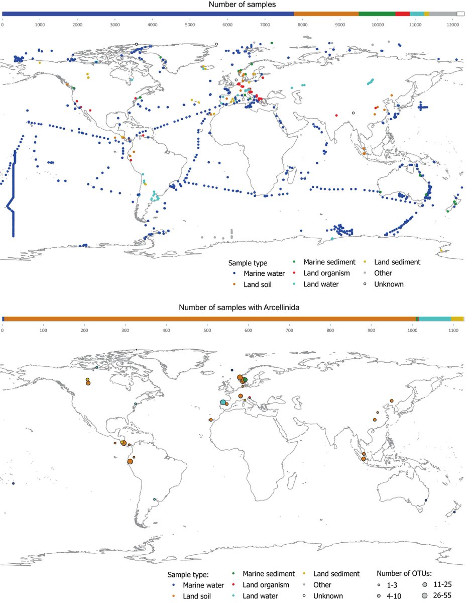 How good are global DNA-based environmental surveys for detecting all #protist diversity? #Arcellinida as an example of biased representation …icro-journals.onlinelibrary.wiley.com/doi/10.1111/14… #protists