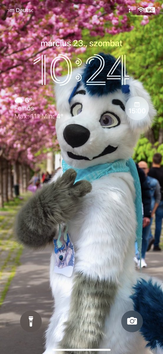 Hungarian Diva Doggo tweet media