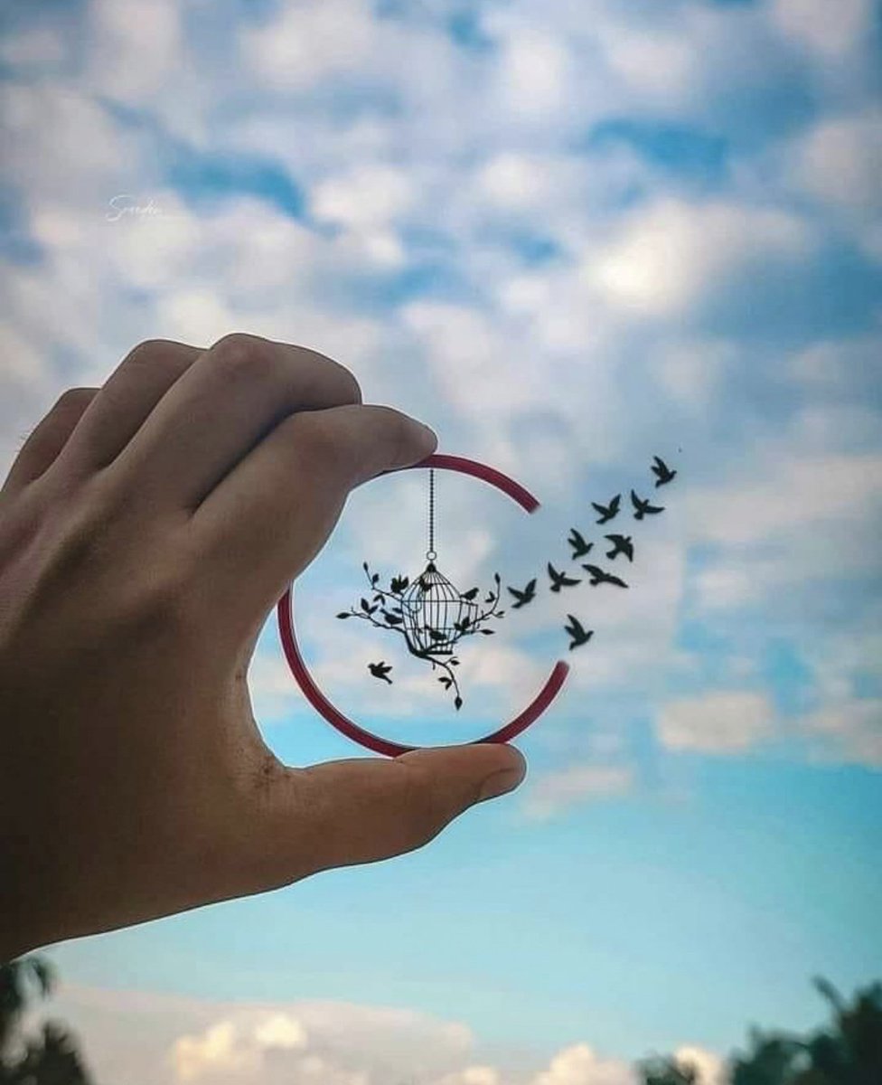 پنچھی ہوں اُڑنے دو🦅
ہواؤں سے لڑنے دو🍃🌳
Good Evening 🌺