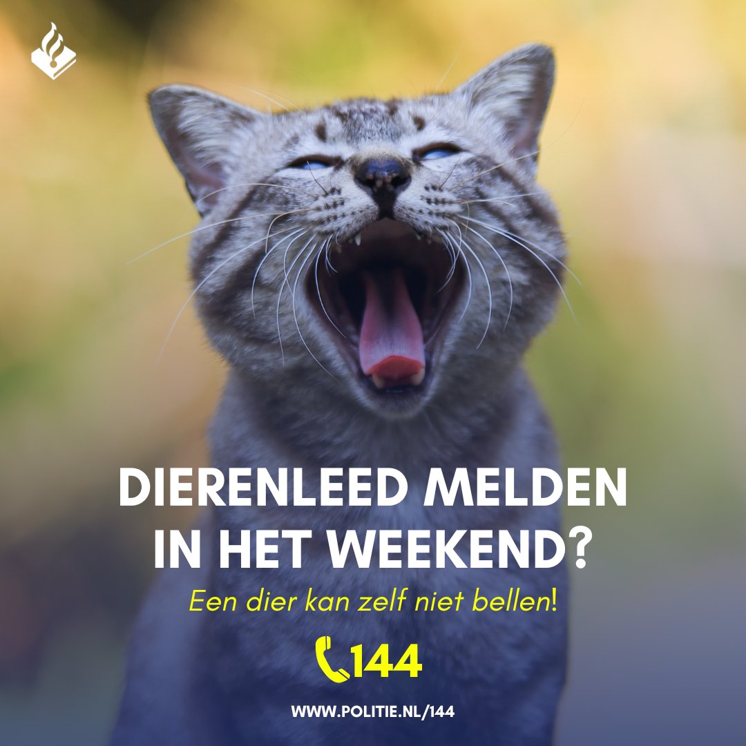 Wist je dat we ook in het weekend bereikbaar zijn?

Dierenmishandeling of -verwaarlozing melden? 📞144
Dieren in acuut levensgevaar? 📞112

🦔Klein wild dier of gezelschapsdier in nood (eigenaar onbekend)? Neem contact op met de dierenambulance.
Lukt dit niet? 📞144