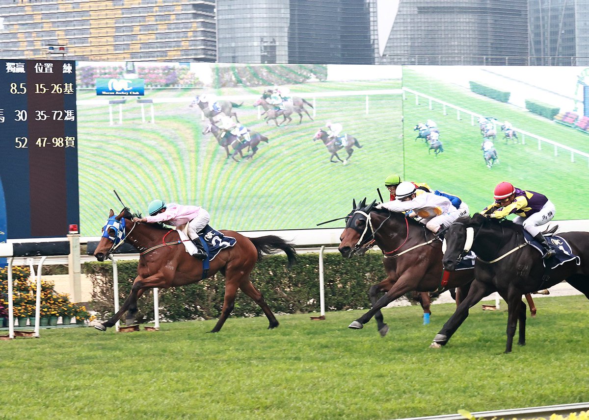 Macau Jockey Club tweet media