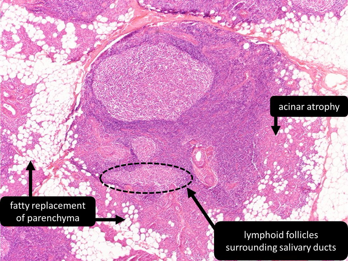 DrCycloPath tweet picture