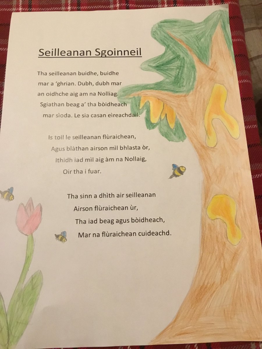 Goodlyburn Primary tweet media