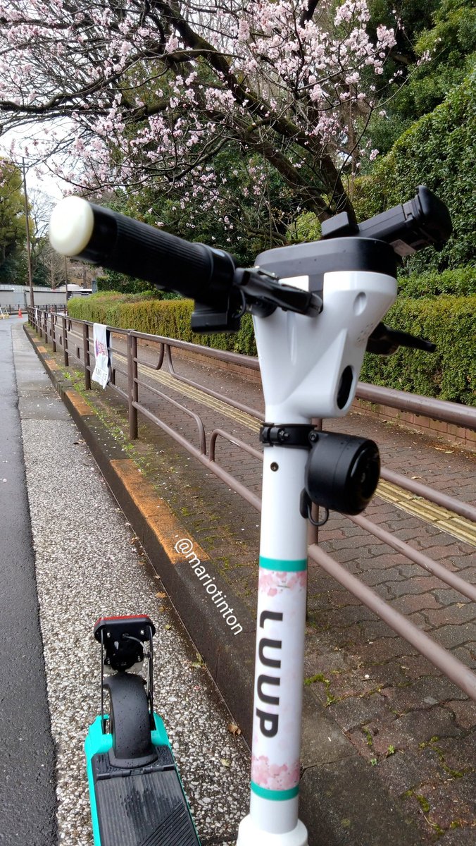 さくらLUUP 🛴 #LUUP春フェス

約30のポート『LUUP本社のポート含む』をチェックした後にやっと見つけました。(爆笑)