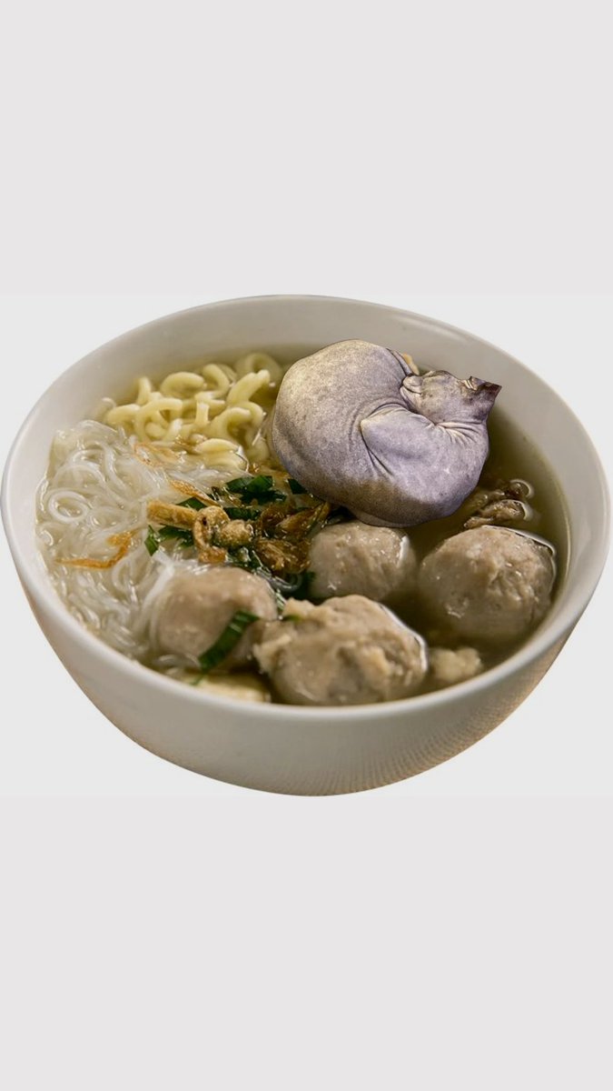 chennaziz's tweet photo. Cooking my famous bakso tonight featuring Bondi ♥️ https://t.co/Mwmy3uMXS6