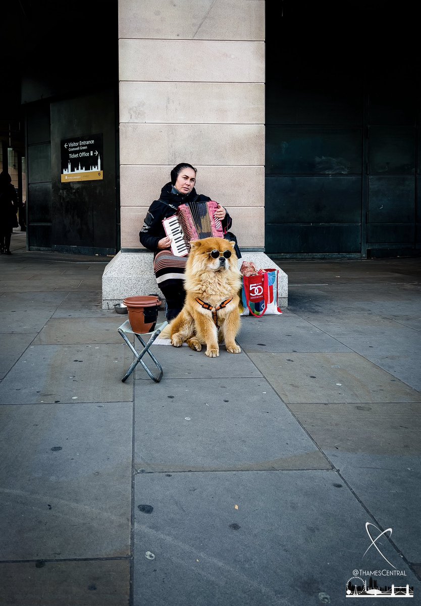 David Nathan tweet media