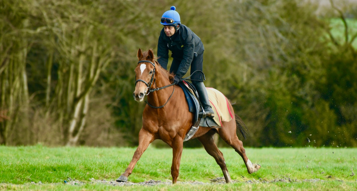 Thunder Ball (Night Of Thunder ex Seradim) contests the William Hill Lincoln (Heritage Handicap) (3.35 p.m.) at Doncaster this afternoon. He’s fit and well and races in the hands of apprentice Alec Voikhansky in this straight 1 mile handicap.