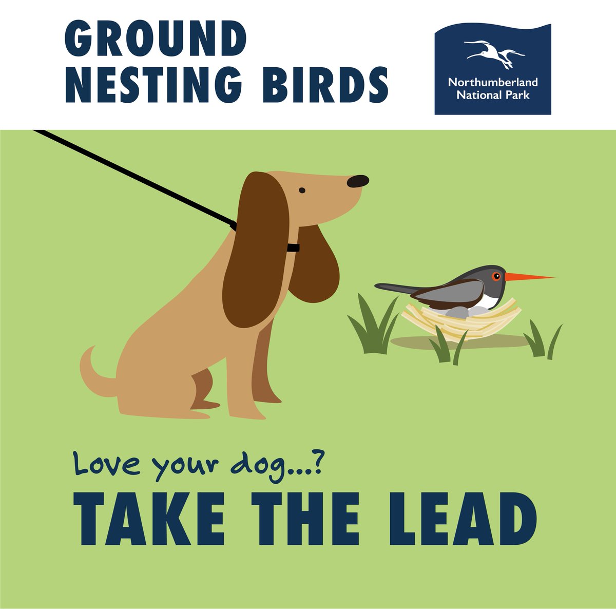 Springtime is when various seasonal ground-nesting bird species such as curlew, oystercatchers, and lapwing return to the National Park to rear their young, leaving them vulnerable if dogs are off leads.  Love your dog? #TakeTheLead