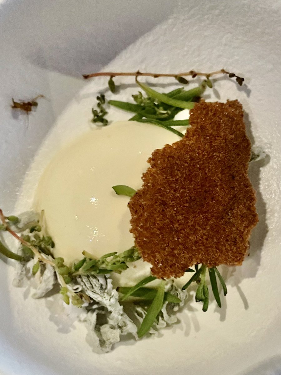 _ryanjefferies's tweet image. #artmeatflesh by @OronCatts @SymbioticALab has been a fabulous battle of synthetic vs natural food @scigallerymel - questioning our future foods #notnatural