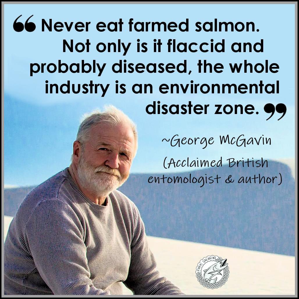 Thank you @georgecmcgavin for speaking out against the environmentally destructive salmon farming industry. “Never eat farmed salmon”