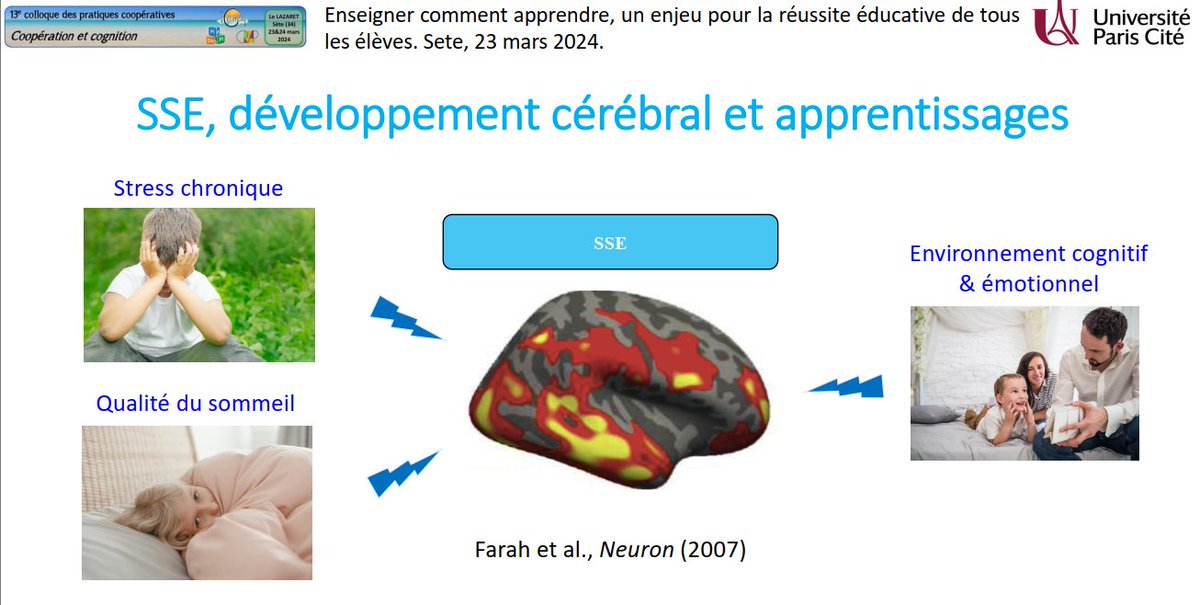 Puisque les stades piagétiens de l'intelligence sont reconnus comme inopérants, quels sont les mécanismes utilisés par les enfants pour apprendre ? D'où viennent les inégalités éducatives ? Comment le milieu joue sur le développement cérébral de l'enfant ? #colloque34