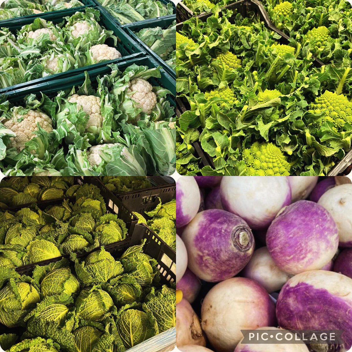 ContFruitsTavistock tweet media