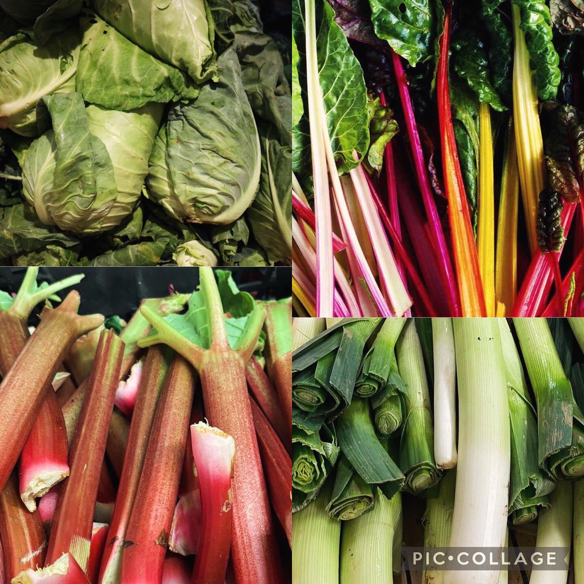 ContFruitsTavistock tweet media