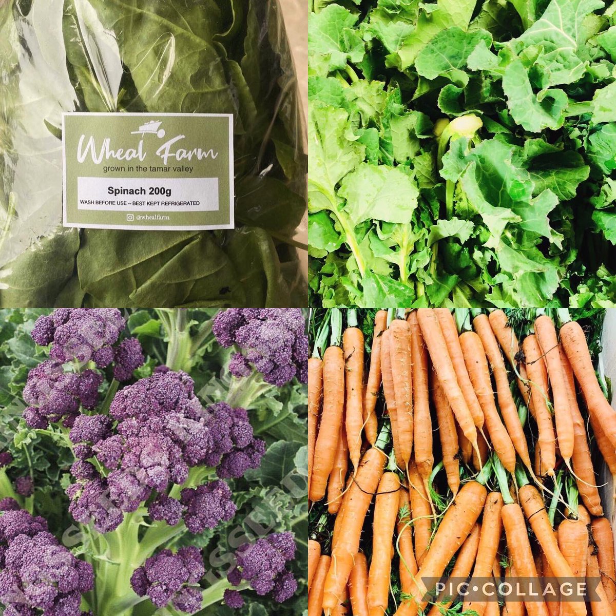 ContFruitsTavistock tweet media