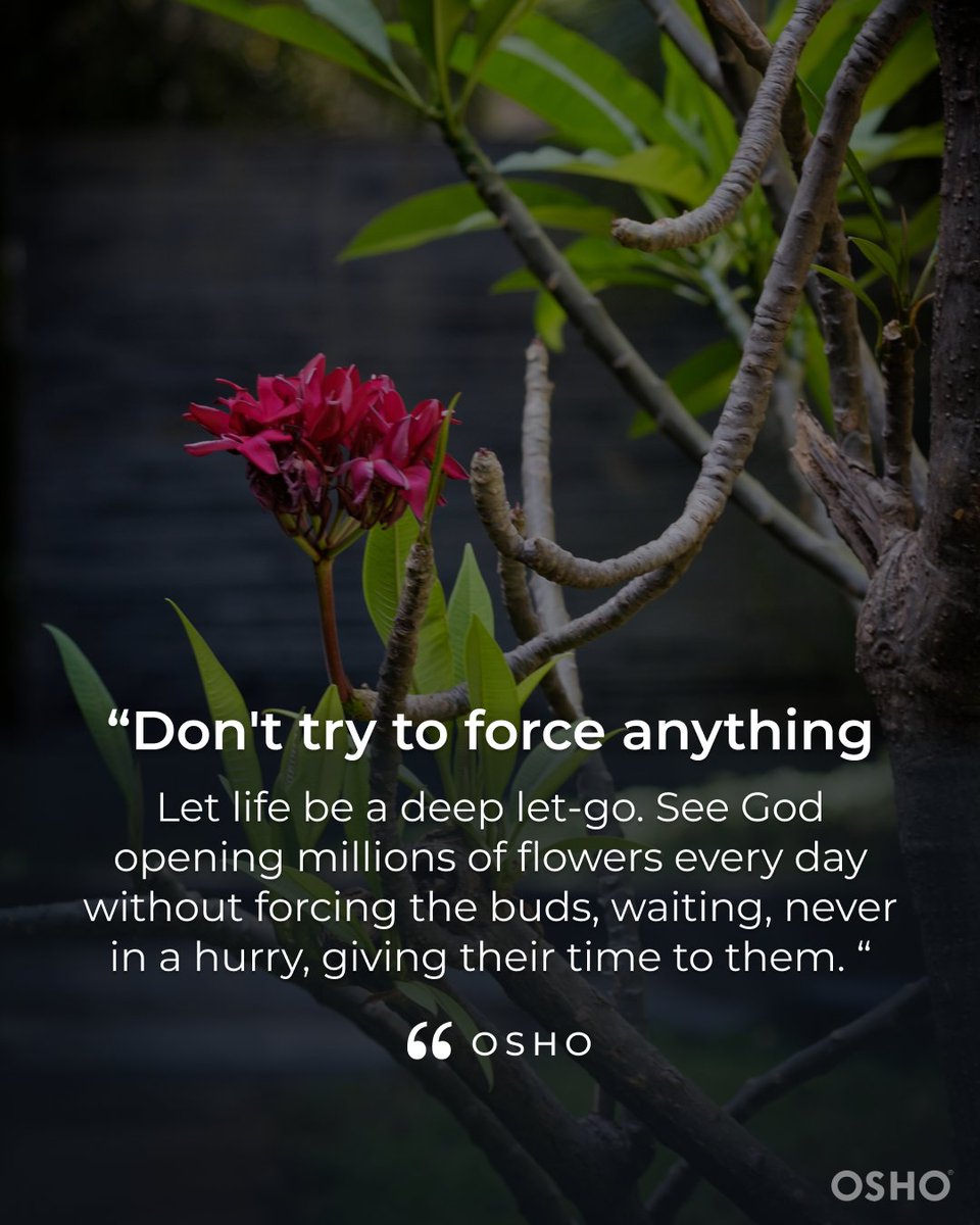Osho aded: 
'That which is going to happen will happen. Whenever it is going to happen it will happen; you need not fight existence. You can surrender, you can trust. This has to be understood.'

#osho #oshoquotes #meditation #divinetiming #quotes