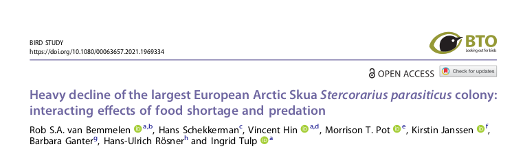 Together, these papers give a comprehensive overview of Arctic Skua non-breeding movements. Important knowledge, considering that the species is listed as vulnerable on the European Red List and appears to be one of the fastest declining seabirds in the North Atlantic. 9/9