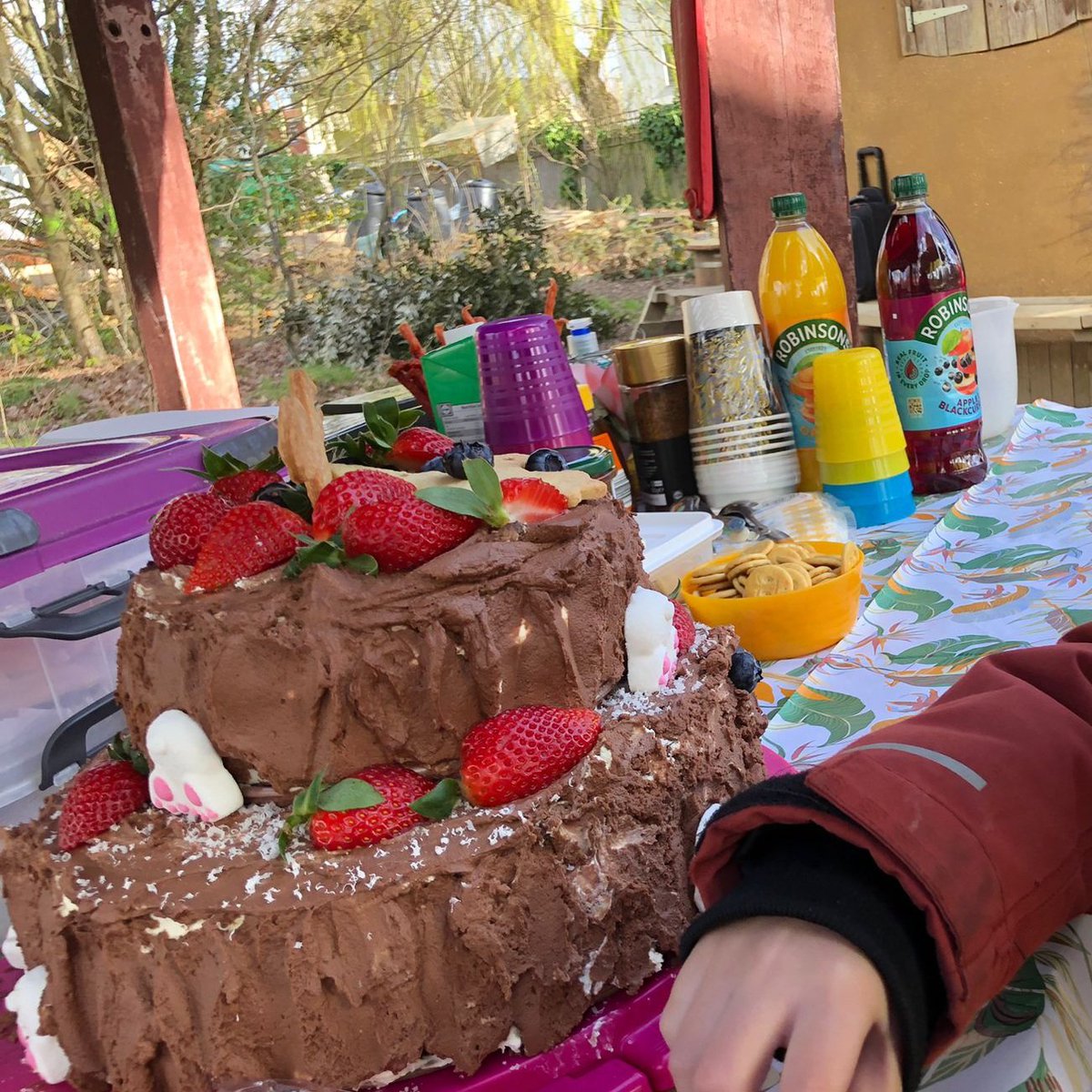 Islington Squirrel Scouts are at Meadow Orchard for an Open Day and Easter Egg hunt today! There's also this epic Squirrel Easter Cake and doesn't it look amazing! Easter Egg Hunt from 9.30 - 11.00 today, please do pop along to meet the Scout Leaders and share a slice of Cake!