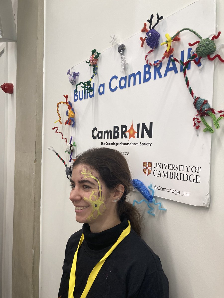 Come to the @CamBrainCNS stand at the @CAMfest and get a neuron inspired face paint 🧠! #CambridgeFestival #PhD #CamBrain
