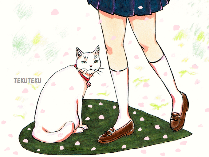 「スカート 白い猫」のTwitter画像/イラスト(新着)