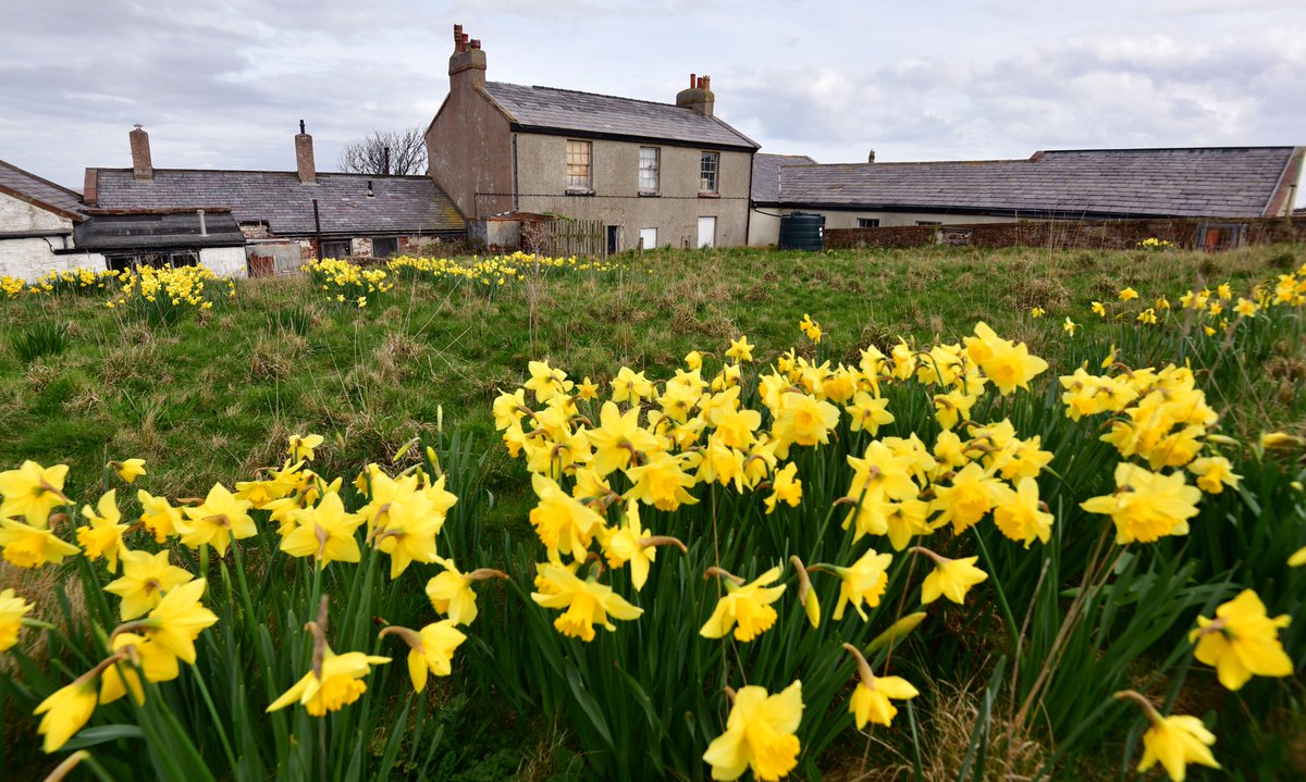 Springtime on Hilbre Island and the research ahead #Wirral #Hilbre liverpoolecho.co.uk/news/liverpool…