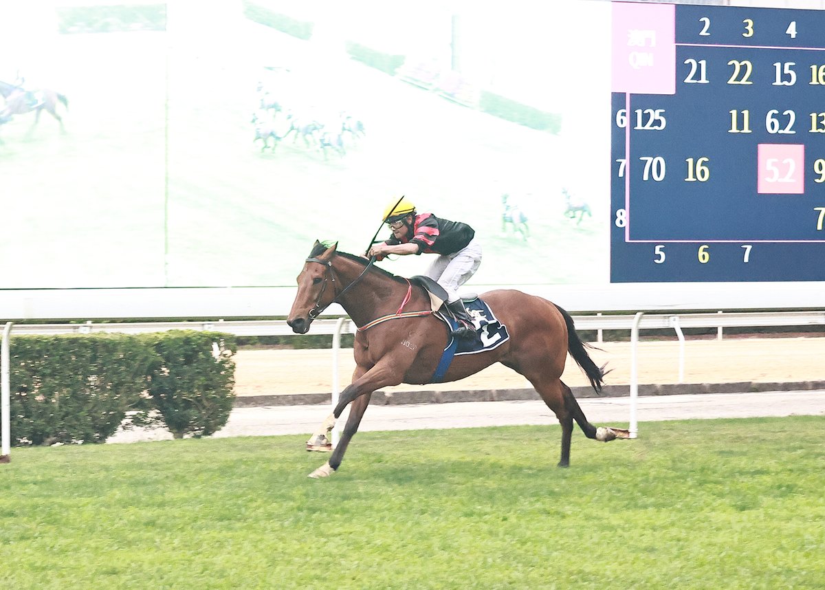 Macau Jockey Club tweet media