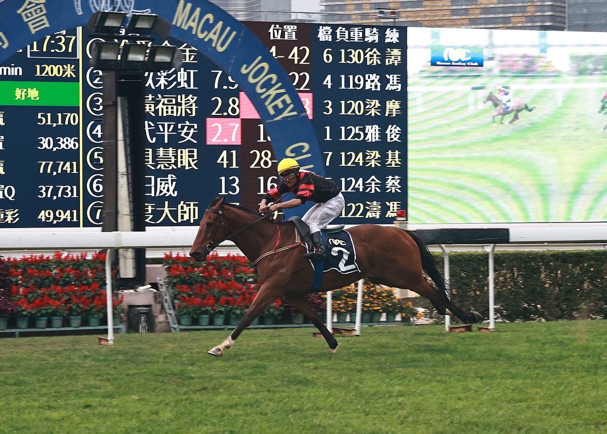 Macau Jockey Club tweet media
