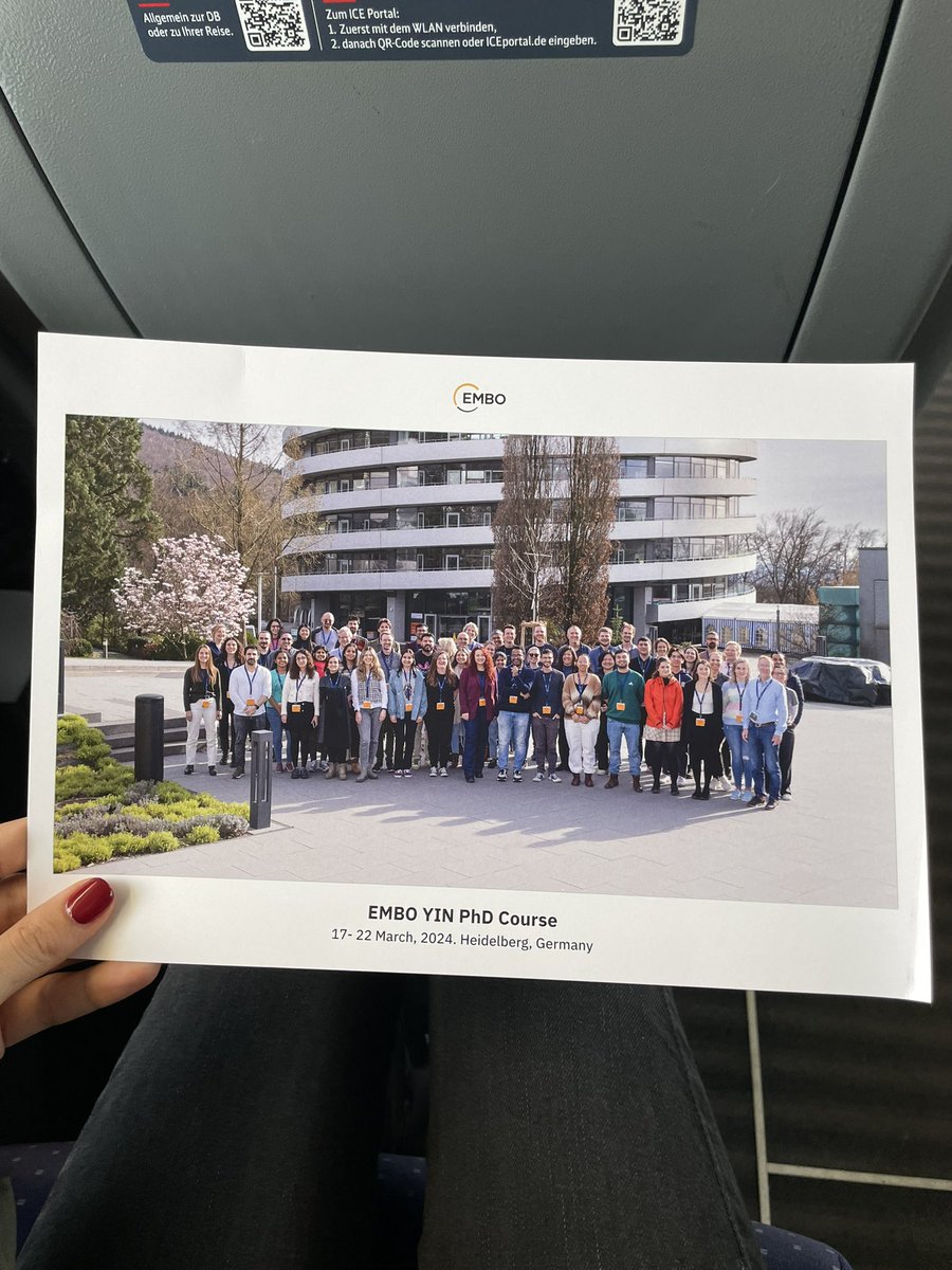 MarianaNatalin6's tweet image. What an amazing group of people!! Leaving Heidelberg full of enthusiasm and fresh ideas! Thank you to the organizers and trainers for crafting this extraordinary course 🤩 @EMBO_YIP #PhDCourse