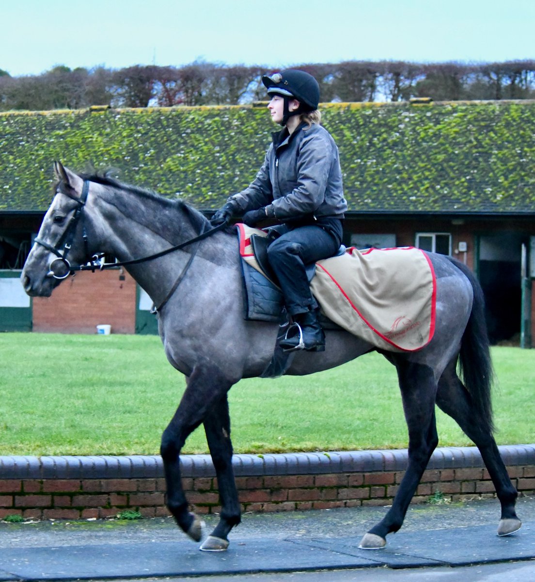 Geelong (Australia ex Tioga Pass) & Hurtle (Mastercraftsman ex Ghurfah) race at Newcastle under jockey Billy Loghnane today: Geelong in the 1m 4 1/2f BetUK. Home Of The Acca Handicap (5.30 pm); Hurtle in the 1m2f Win £2,000,000 With BetMGM's Golden Goals Handicap (6.00 pm).