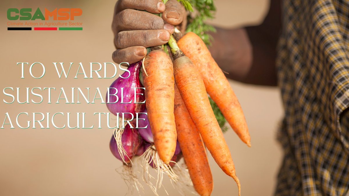📢 New blog alert!

🌱🌍🌿 Sustainable #agrifoodsystems can help us achieve the world's #climate goals while safeguarding #biodiversity  and ensuring #FoodSecurity for all.

Here's the link to the article: linkedin.com/feed/update/ur…
