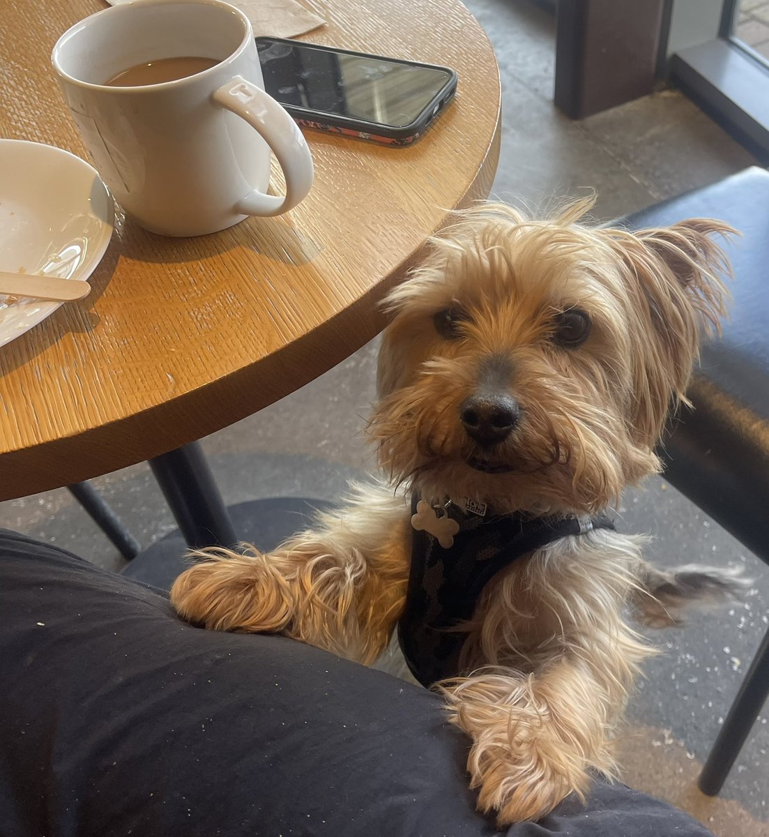 Deirdre Wynter tweet media