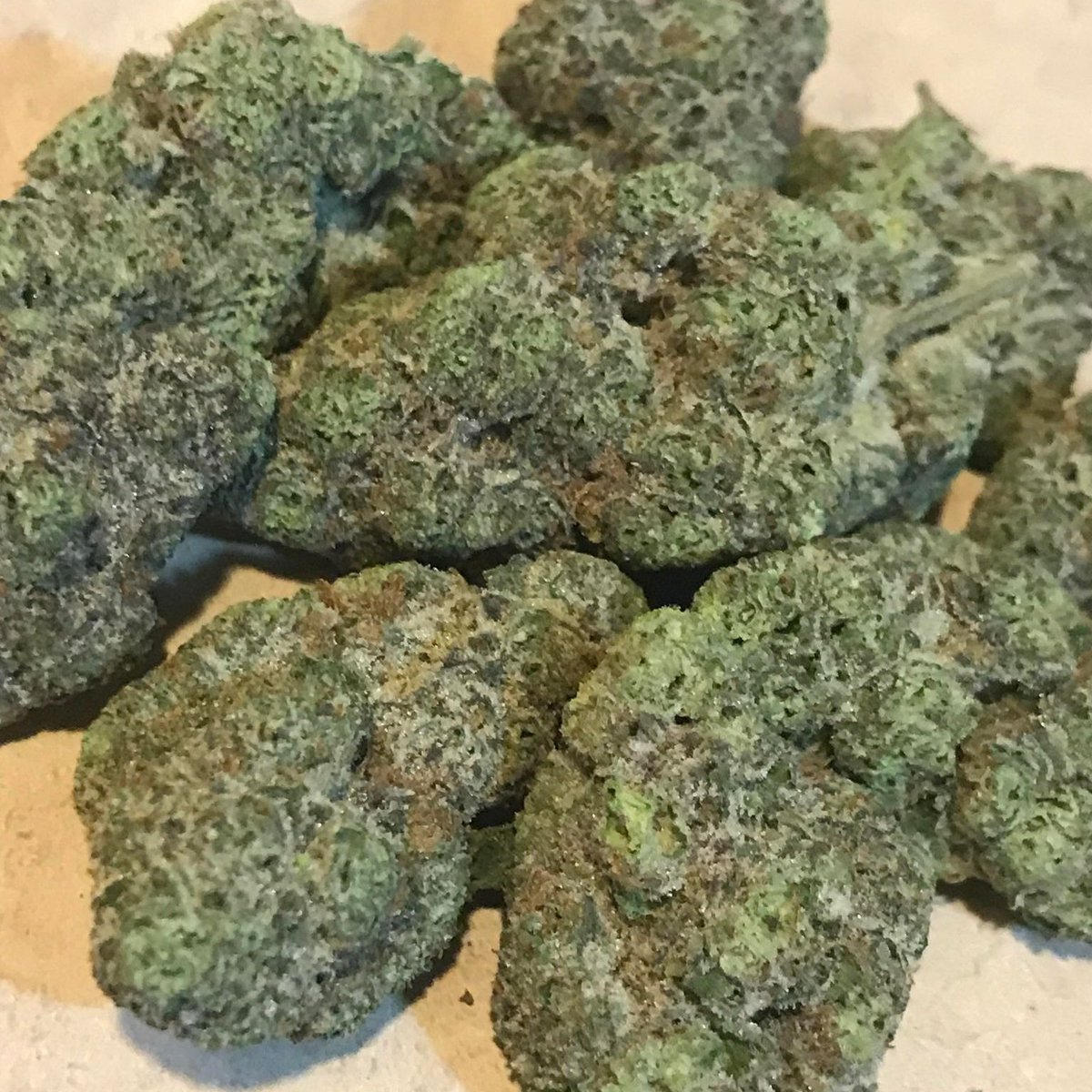 WarsawWhitecats's tweet photo. Godfather OG... the official flower of the @GSPGLGodfathers??? #ElevatedWiffle😶🌫️ #GreenIsGood🥬 #StayElevated #LiftedAboveTheRest #420friendly #GodfatherOG https://t.co/uYhmIhGL5a