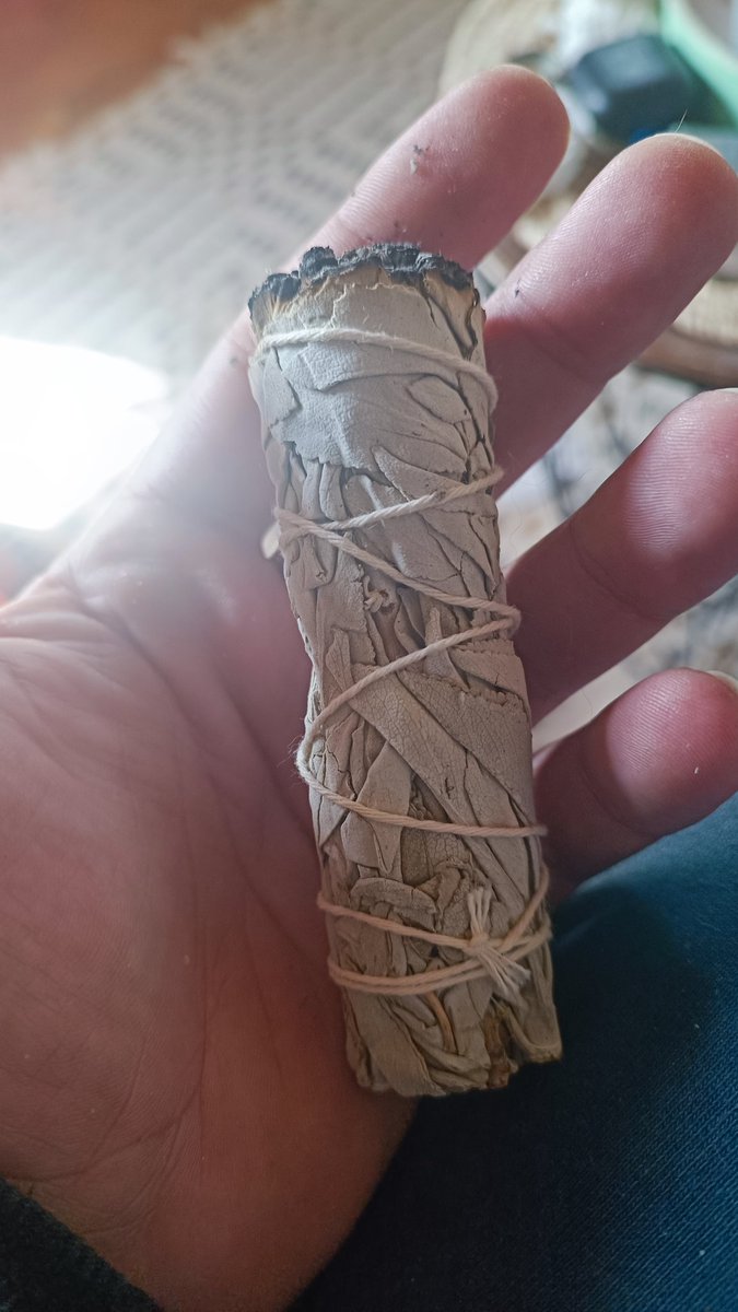 otakrout's tweet photo. Mon mec a décidé de purifier la maison avec de la sauge blanche (lol), je lui dis que "vas-y je sors ça pue ton truc", il m'a répondu "Tu vois ça marche parce que c'est toi le démon" 😭 https://t.co/fBA7Loybum