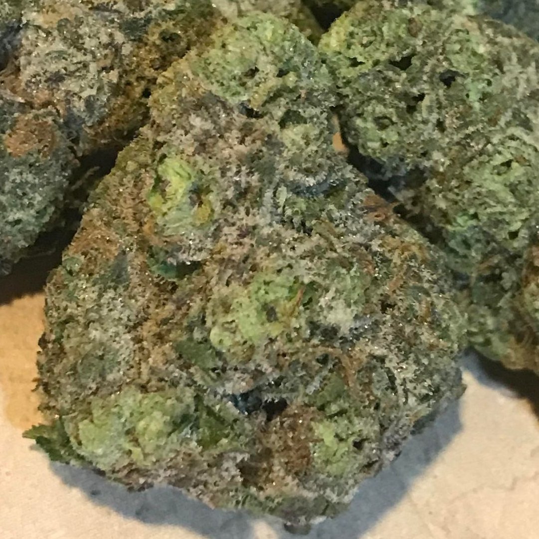 WarsawWhitecats's tweet photo. Godfather OG... the official flower of the @GSPGLGodfathers??? #ElevatedWiffle😶🌫️ #GreenIsGood🥬 #StayElevated #LiftedAboveTheRest #420friendly #GodfatherOG https://t.co/uYhmIhGL5a
