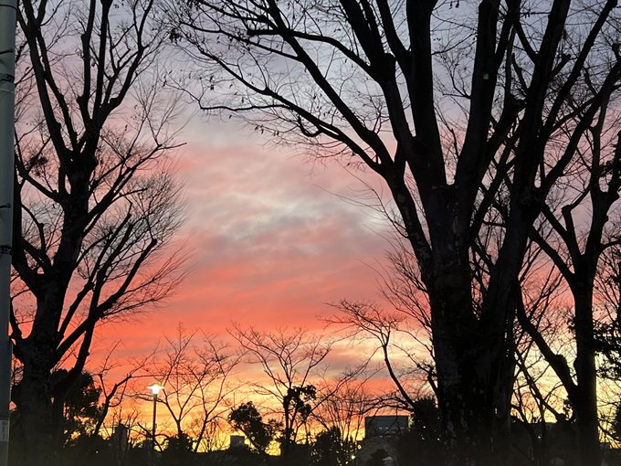 「orange sky」のTwitter画像/イラスト(新着)