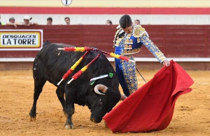Su apostura, planteamiento, tacto y sutileza obran una faena de alto contenido técnico -artístico. Un gozo.

Alejandro Mora ayer en una de las corridas del trofeo Chenel