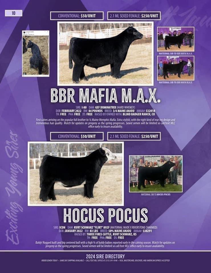 mattlautner tweet picture