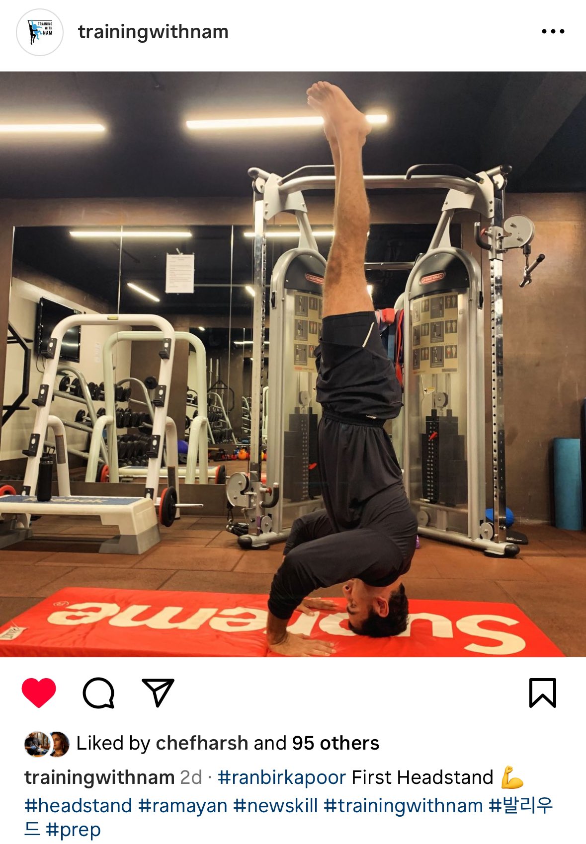 Everlast Mat Supreme 覚ます
