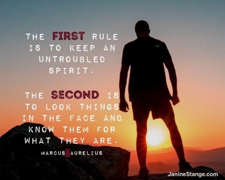 The first rule is to keep an untroubled spirit. The second is to look things in the face and know them for what they are. - Marcus Aurelius