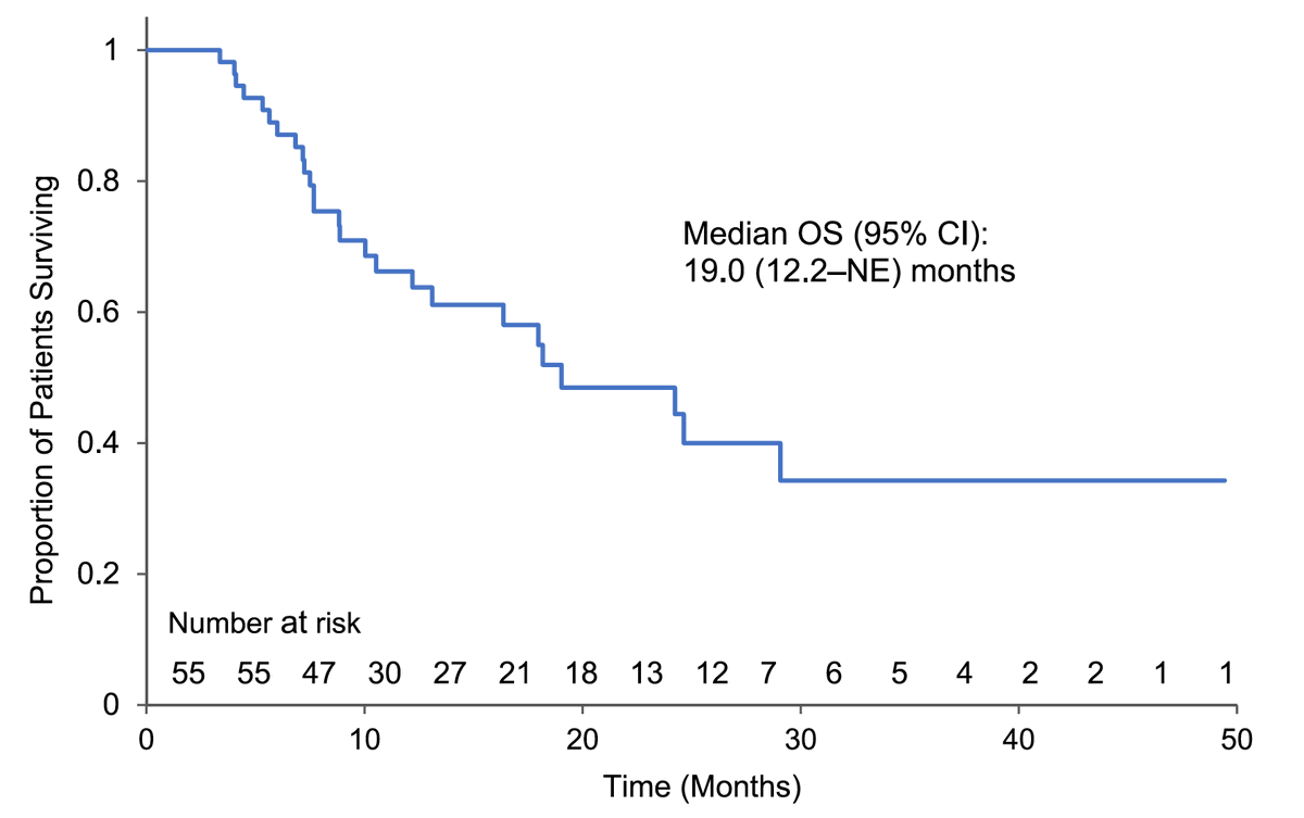 An analysis of US electronic health records on the clinical characteristics, treatment patterns, and outcomes of patients with HER2-mutant advanced NSCLC diagnosed between 2016 and 2020 Link to the full article: bit.ly/3vnimnq