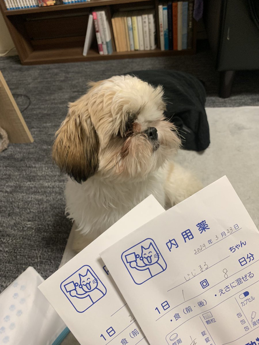 御爺丸は
大腸炎で下痢3日目😭

わたしは4日酔いで
下痢3日目😭

飼い主に似るとは
そーゆことなのか？笑笑