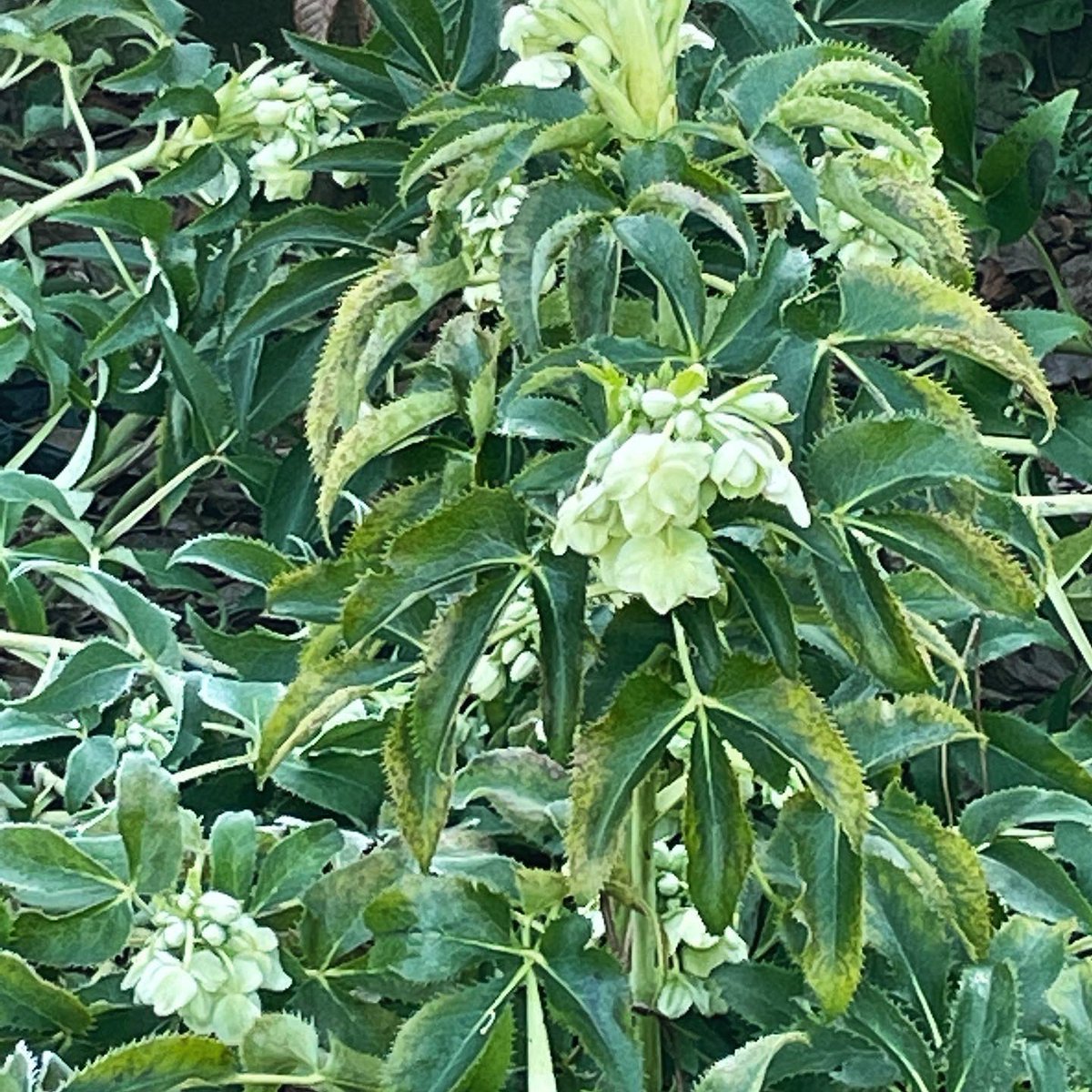 Spring has officially sprung and we’re so ready to leave winter behind!
 
According to the SLBI, the pictured flora and fauna can be found throughout our grounds.