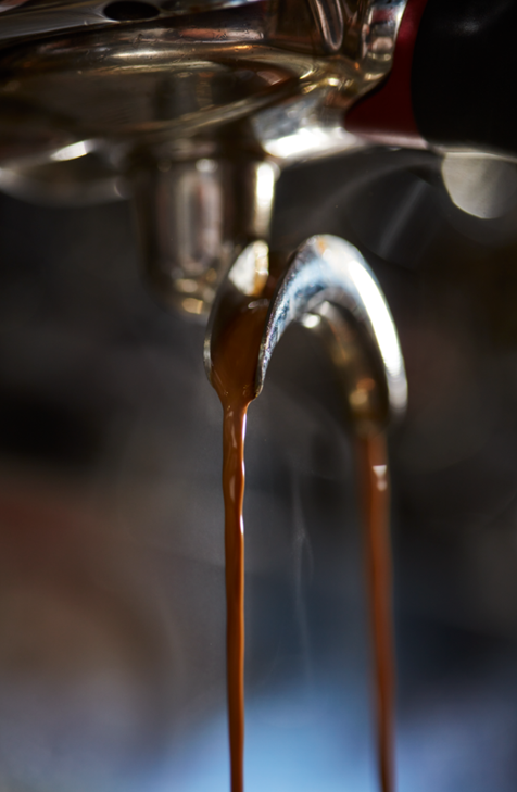 The story behind our beans? It's one of fairness, sustainability, and empowering coffee communities. Sip consciously, knowing your cup makes a difference.  🌱☕#Sustainable coffee# nature# sip sustainably #AMT Coffee#