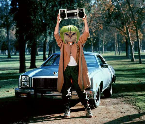 kinglimecat's tweet photo. Spread the word of the $LIME anyway you can #LIMERS
$SOL #MemeCoinSeason https://t.co/Lra8JE0oBE