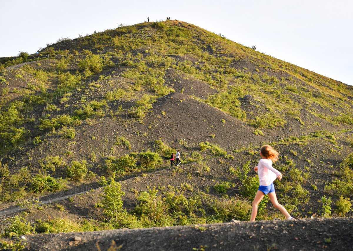 pasdecalais62's tweet photo. Visites guidées sur les #terrils : des sorties nature et patrimoine pour petits et grands ! Les guides du #CPIE Chaîne des Terrils vous proposent un panel de sorties, de la balade à la rando découverte les week-ends et mercredis des vacances. Inscription : https://t.co/EOj5NFyj82 https://t.co/aUdXyhRvmU